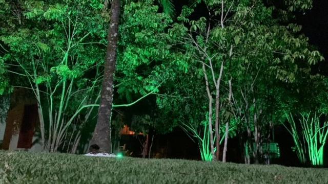 Bons Ventos Camping E Glamping Barra Grande  Exterior photo