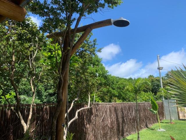 Bons Ventos Camping E Glamping Barra Grande  Exterior photo